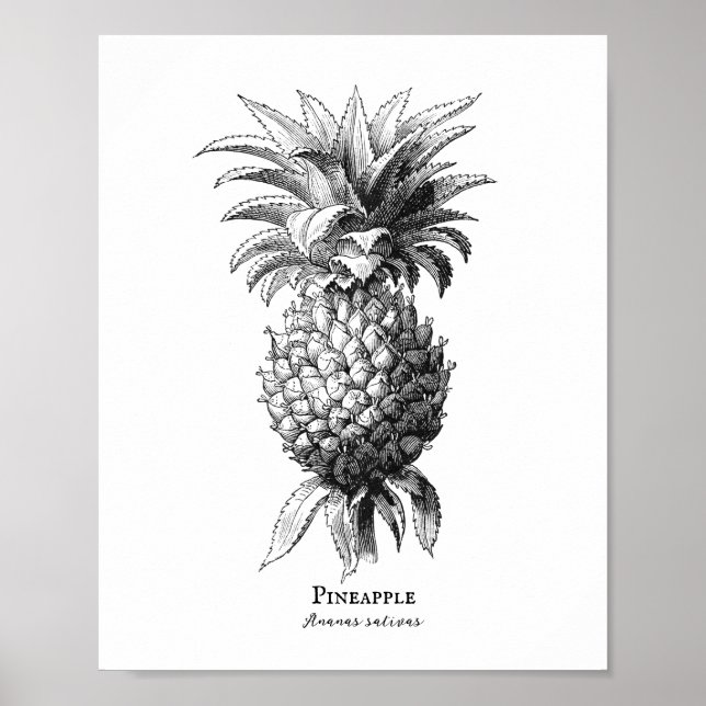Affiche Ananas (Devant)
