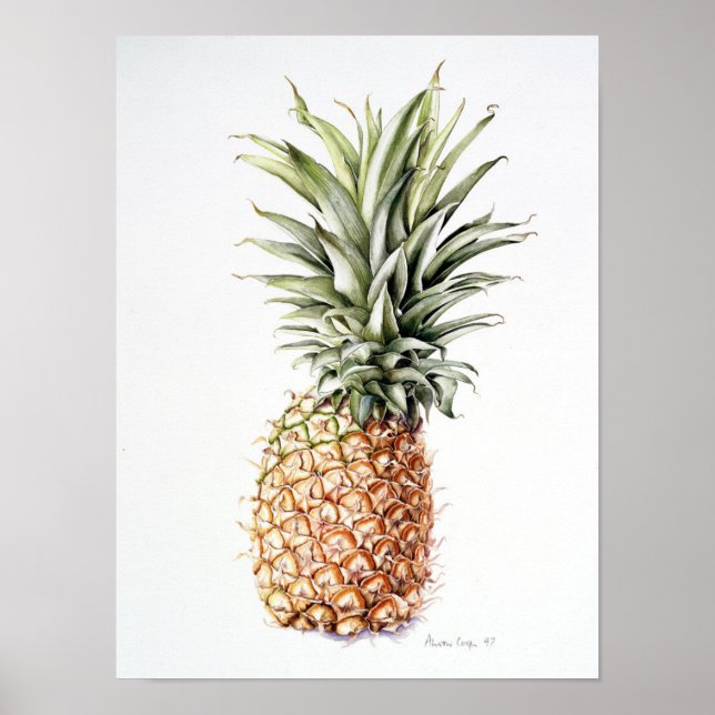 Affiche Ananas 1997 (Devant)