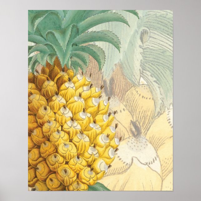 Affiche Ananas avec agrandissement (Devant)