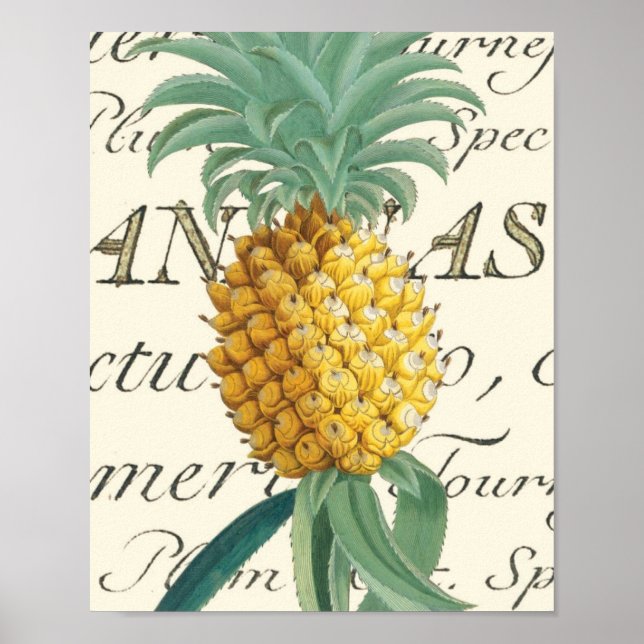 Affiche Ananas avec détail calligraphique (Devant)