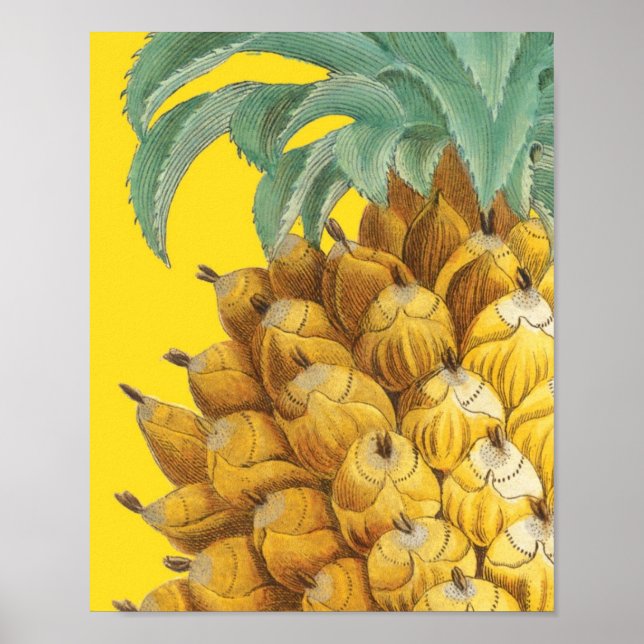Affiche Ananas botanique en jaune (Devant)