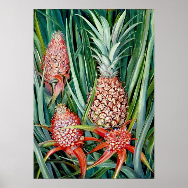 Affiche Ananas par Marianne North - Paysage exotique (Devant)