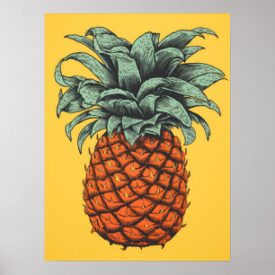 Affiche Ananas tropical vintage