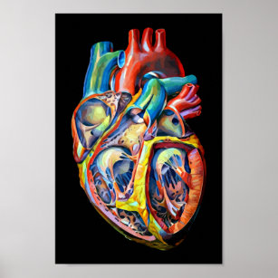 Affiche anatomie cardiaque humaine colorée art abstrait