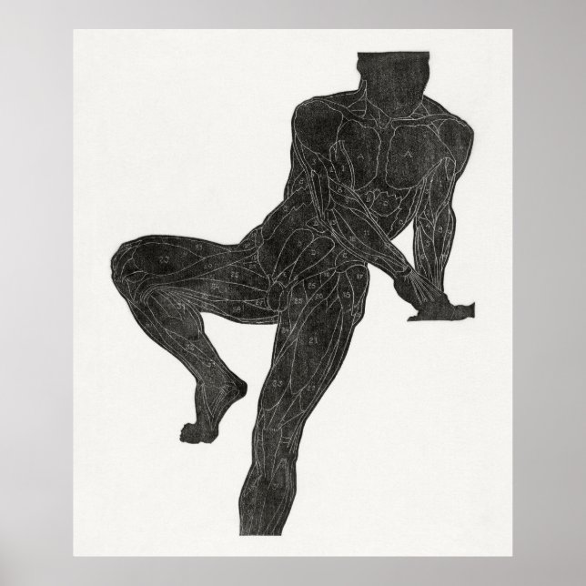 Affiche Anatomie de l'homme 2 (Devant)