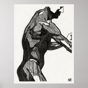 Affiche Anatomie de l'homme 4
