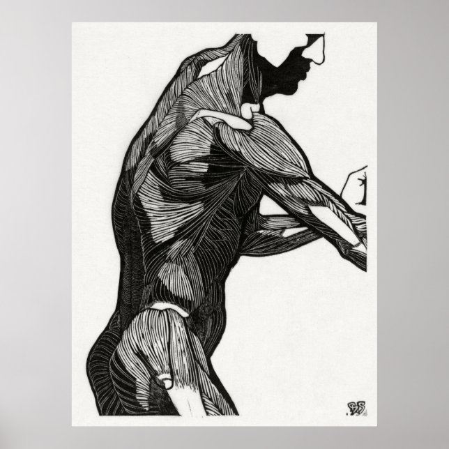 Affiche Anatomie de l'homme 4 (Devant)