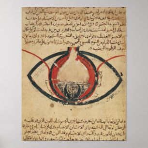 Affiche Anatomie de l'oeil, d'un livre sur des maladies