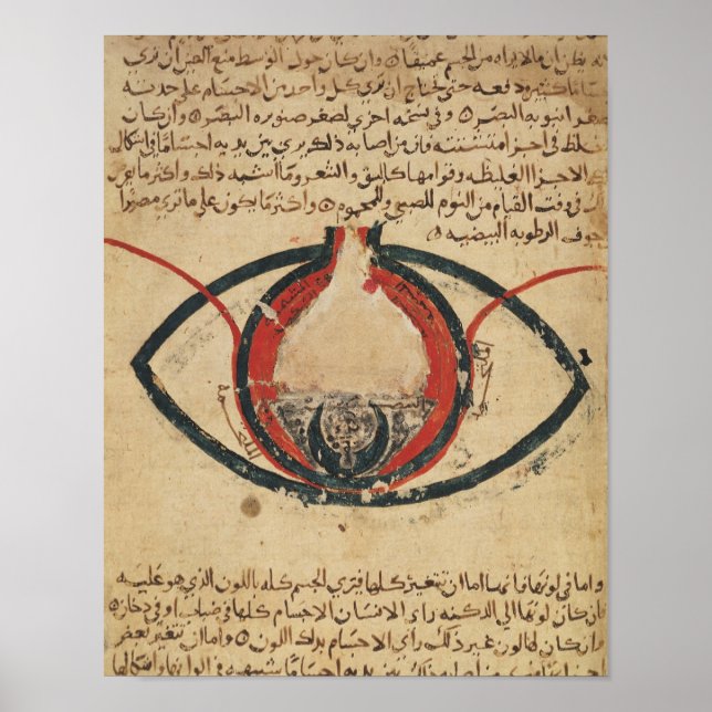 Affiche Anatomie de l'oeil, d'un livre sur les maladies oc (Devant)