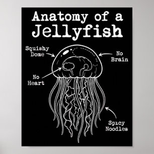 Affiche Anatomie de nouilles épicées de méduse drôle marin