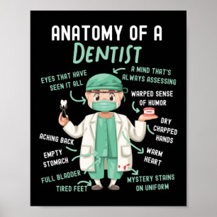 Affiche Anatomie Dentaire Dentiste D'Un Dentiste Un Esprit