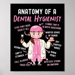 Affiche Anatomie Dentaire Hygiéniste Dentaire D'Un Dentair