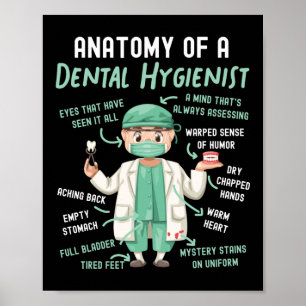 Affiche Anatomie Dentaire Hygiéniste Dentaire D'Un Dentair