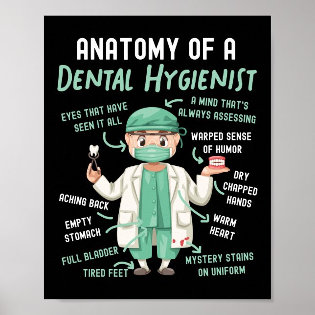 Affiche Anatomie Dentaire Hygiéniste Dentaire D'Un Dentair (Devant)