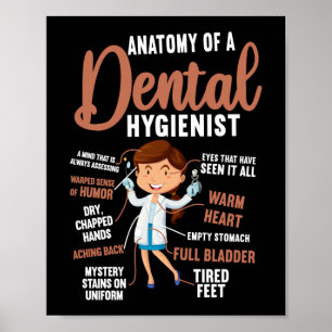 Affiche Anatomie Dentaire Hygiéniste Dentaire D'Un Dentair