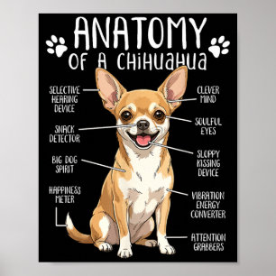 Affiche Anatomie drôle de Chihuahua d'un propriétaire de c