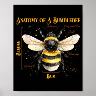 Affiche Anatomie drôle d'une abeille à l'humour sarcastiqu