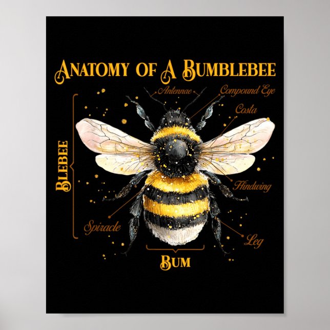 Affiche Anatomie drôle d'une abeille à l'humour sarcastiqu (Devant)