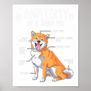 Affiche anatomie drôle shiba inu cadeau amoureux des chien