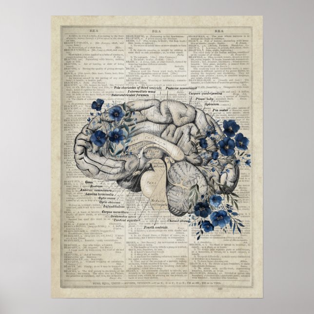 Affiche Anatomie du cerveau avec Fleurs Bleues Marine Art  (Devant)
