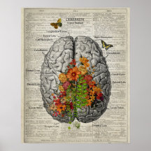 Anatomie du cerveau avec papillons et fleurs
