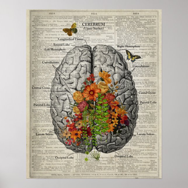 Affiche Anatomie du cerveau avec papillons et fleurs (Devant)