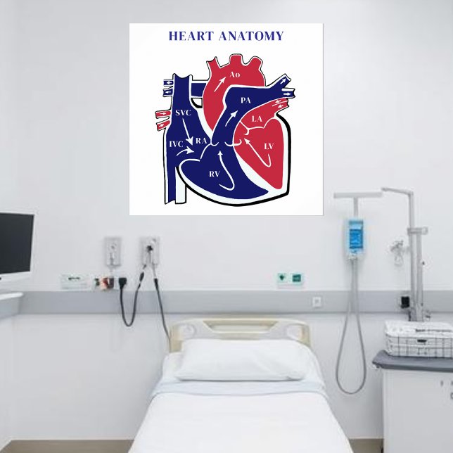 Affiche Anatomie du cœur- (Heart Anatomy- Poster )