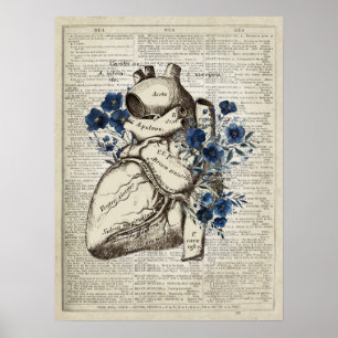Affiche Anatomie du coeur avec fleurs bleues Dictionnaire