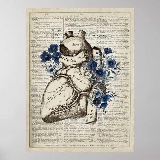 Affiche Anatomie du coeur avec fleurs bleues Dictionnaire  (Devant)