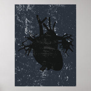 Affiche Anatomie du coeur banquette