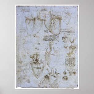 Affiche Anatomie du Coeur Humain, Léonard de Vinci