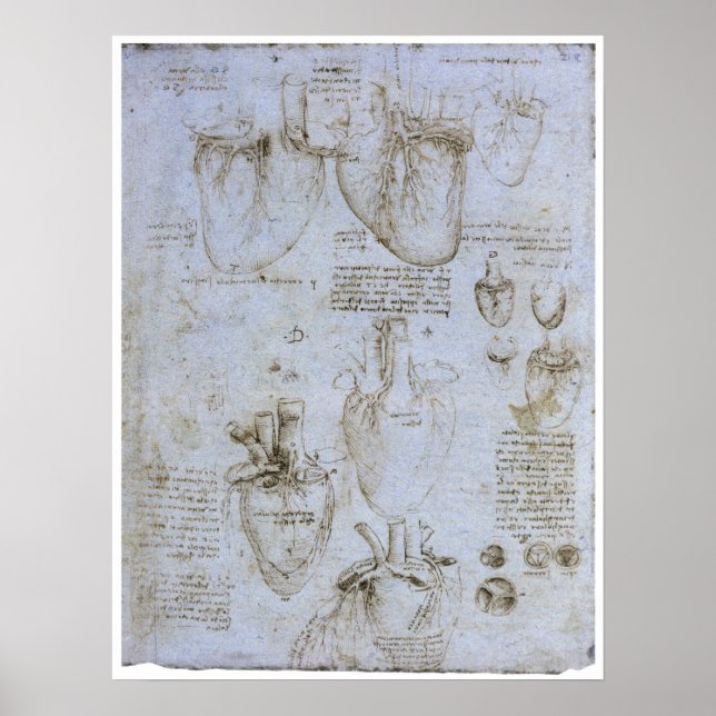 Affiche Anatomie du Coeur Humain, Léonard de Vinci (Devant)