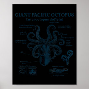 Affiche Anatomie du poulpe géant du Pacifique océan mer bi