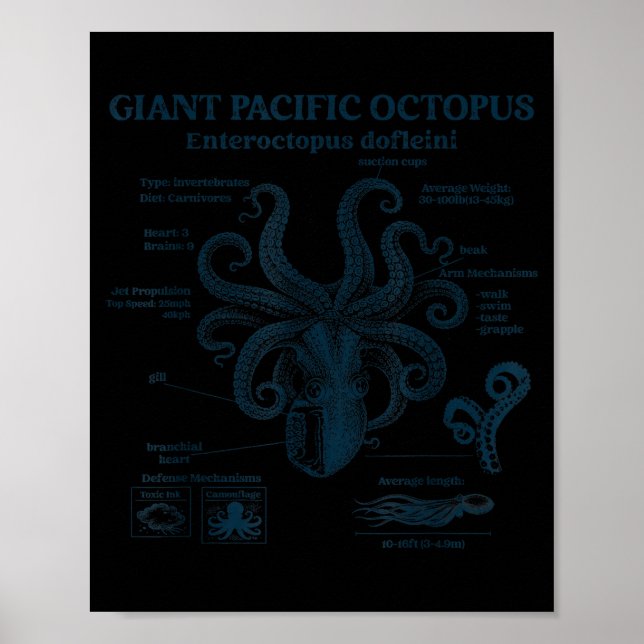 Affiche Anatomie du poulpe géant du Pacifique océan mer bi (Devant)