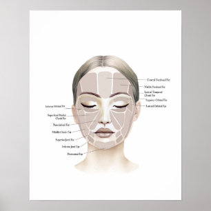 Affiche Anatomie du visage Beauté Art