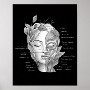 Affiche Anatomie du visage Muscles faciaux Med Décor Spa