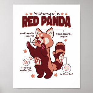 Affiche Anatomie d'un Amoureux des animaux de Panda rouge
