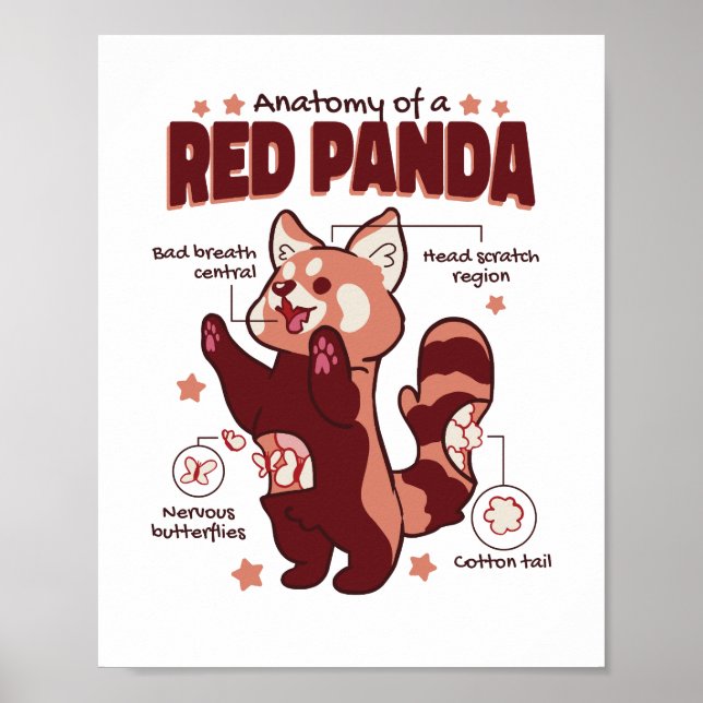 Affiche Anatomie d'un Amoureux des animaux de Panda rouge (Devant)