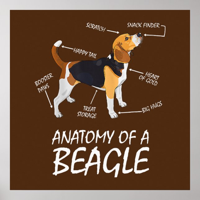 Affiche Anatomie D'Un Amoureux des chiens Beagle (Devant)