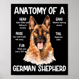Affiche Anatomie D'Un Berger Allemand Pour Les Amoureux de