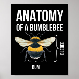 Affiche Anatomie D'Un Bumblebee Drôle Humour Sarcastique C