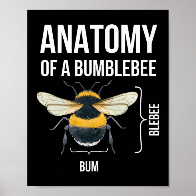 Affiche Anatomie D'Un Bumblebee Drôle Humour Sarcastique C (Devant)