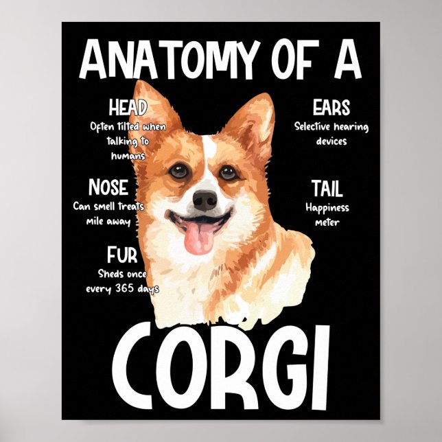 Affiche Anatomie D'Un Corgi Pour Amoureux de les chiens (Devant)