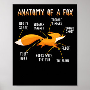 Affiche Anatomie D'Un Fox Cute Sweet Carnivore Cadeau Anim