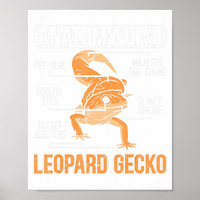 Affiche Anatomie D'Un Léopard Gecko Lover Lizard Animal Re (Devant)