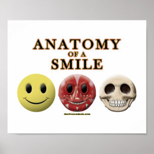 Affiche Anatomie d'un sourire