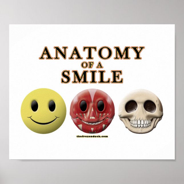 Affiche Anatomie d'un sourire (Devant)