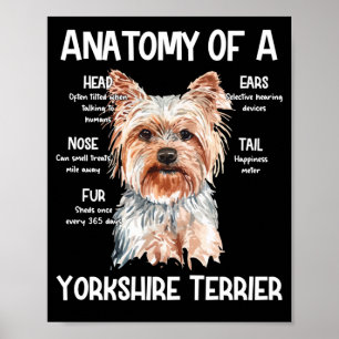 Affiche Anatomie D'Un Yorkshire Terrier Pour Amoureux de l