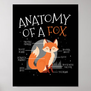 Affiche Anatomie D'Une Forêt De Fox Mmite Fox Animal