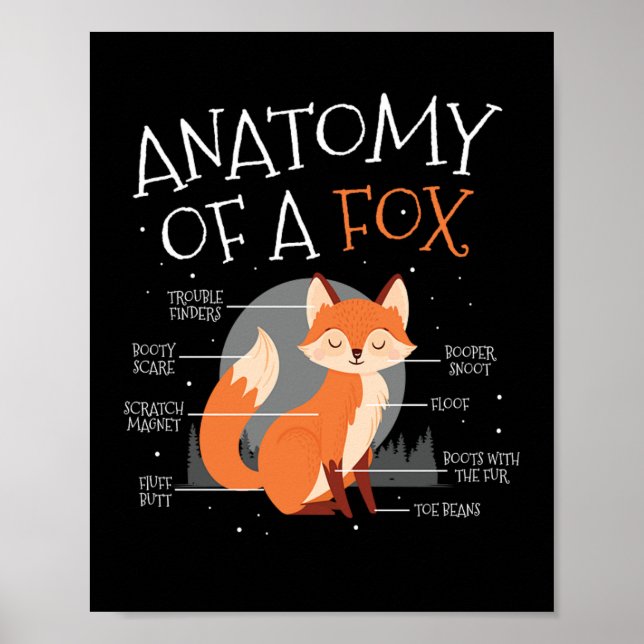 Affiche Anatomie D'Une Forêt De Fox Mmite Fox Animal (Devant)